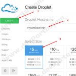 Prepare A Basic Ubuntu Server Droplet Hostname Select Size